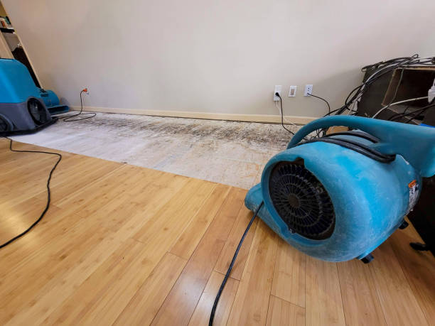 Professional Water Damage Repair technician working in Davis, CA